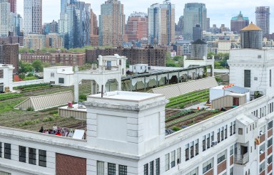 green-roof-brooklyn-grange-2019-sdevries