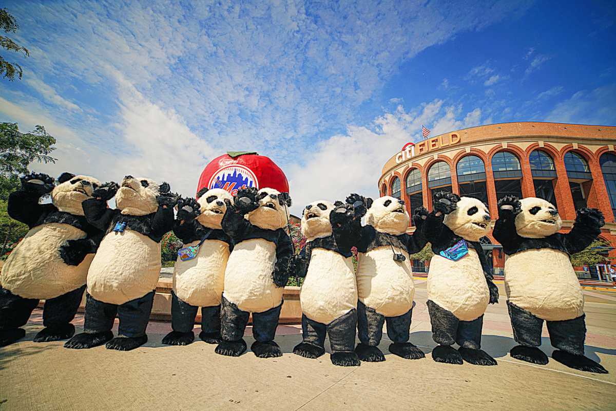 panda 1 copy 2