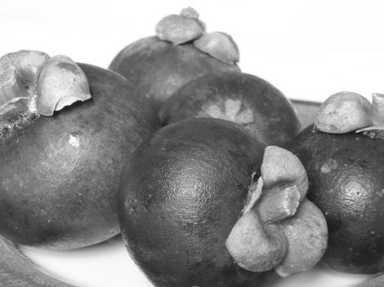 Forbidden Fruit