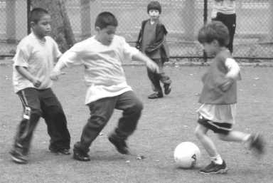 soccer