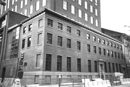 New York University School