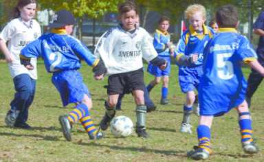Midfielders shine
