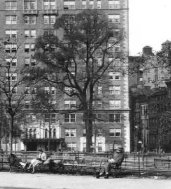 Pell Memorial Elm