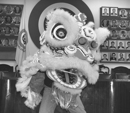 Monkey with Festivities