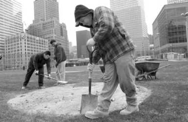 Black and white photo of a man in a plaid jacket digging with a shovel in a city park, as two other men work in the background.