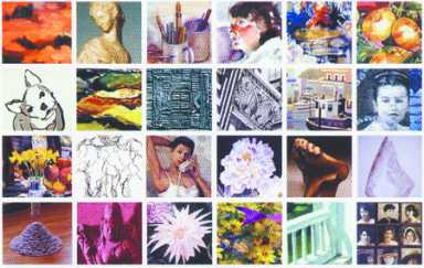 exhibitions