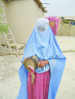afgahan-2004-05-27_z