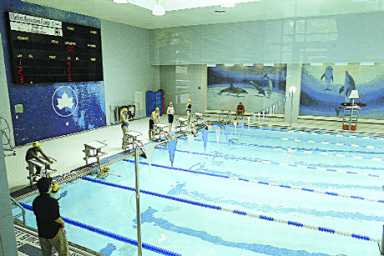 An indoor swimming pool with lanes, a scoreboard, and murals of sea creatures on the walls.