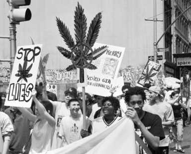 Cannabis Culture