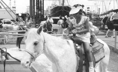 Riding the wave at the Seaport