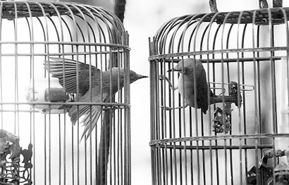 birs-2004-09-21_z