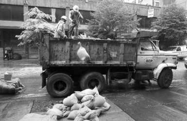 Soho gets lost in the flood