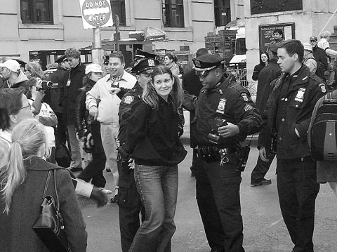 arrests-2004-11-12_z