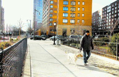 dog-2005-01-27_z