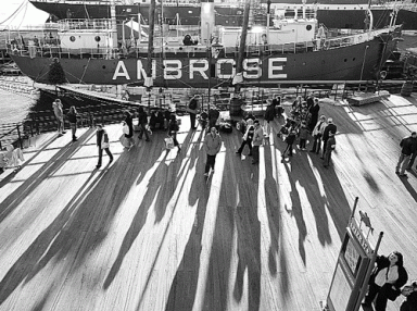 ambrose-2005-02-17_z