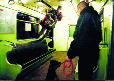 dogsub-2005-04-14_z