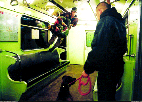dogsub-2005-04-14_z