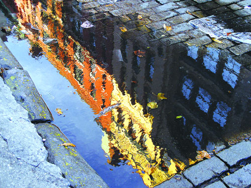 reflections-2006-01-12_z