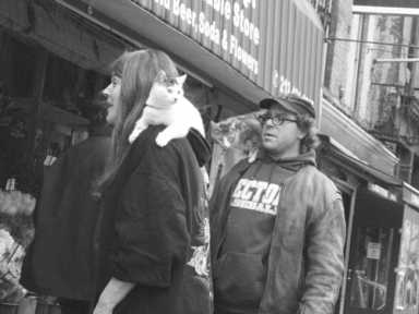 catwalking-2006-02-02_z