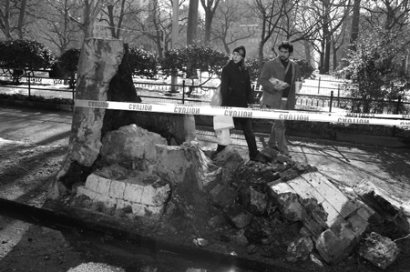 Stumped by ‘concrete tree’ 1 tree-2006-02-28_z