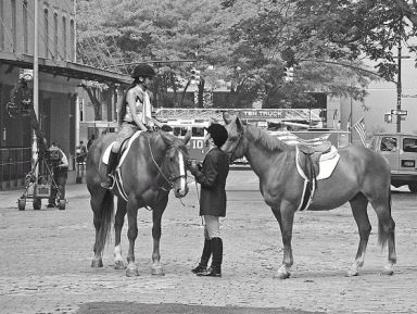 horse-2006-08-24_z