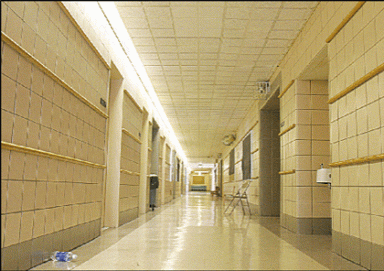 tribeca-2006-09-14_z