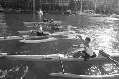 paddles-2006-10-24_z