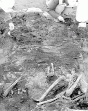 bones-2007-01-23_z