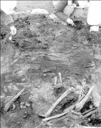 bones-2007-01-23_z