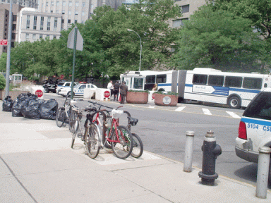 policechina-2007-06-21_z