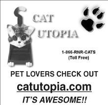 catopia-2007-12-06_z