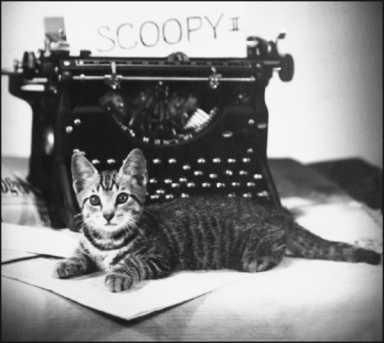 kitty-2008-04-29_z