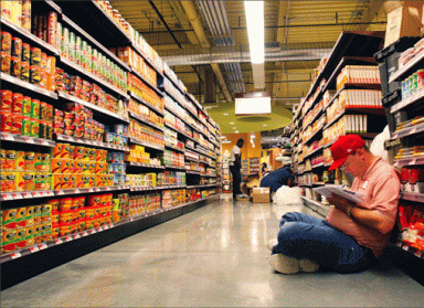 foodmart-2008-07-10_z