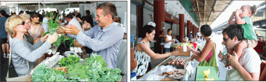 greenmarket-2008-07-10_z