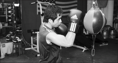 thaibox-2008-08-28_z