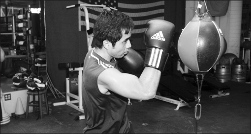 thaibox-2008-08-28_z