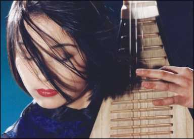 zither-2008-08-07_z