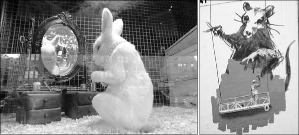 wabbit-2008-10-28_z