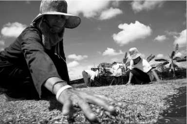 untitled-2008-12-30_z