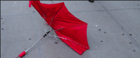 The red menace: Cheap, broken umbrellas everywhere 1 red1-2009-01-12_z