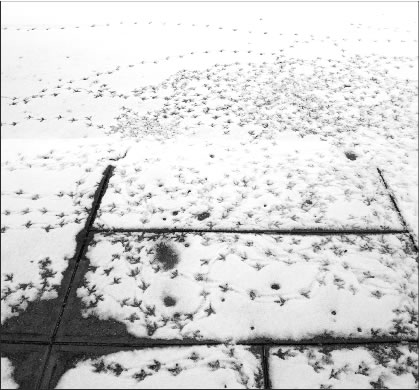 tracks-2009-01-20_z