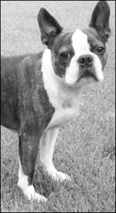 scarrier-2009-05-07_z