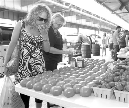 Stopping to smell the tomatoes 1 tomatoes-2009-06-04_z
