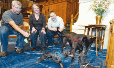 dogs-2009-10-13_z