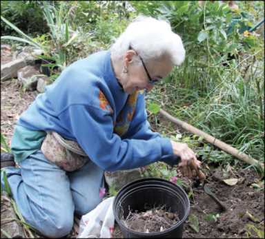 planter-2009-10-22_z