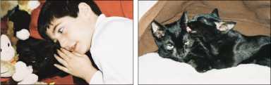 kitty-2009-11-11_z