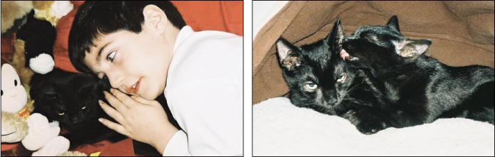 kitty-2009-11-11_z