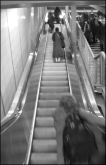 steps-2010-03-11_z