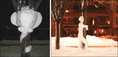 treeelephant-2010-03-09_z