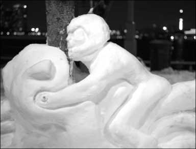 snowmobile-2010-03-09_z